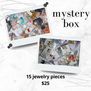 15 Piece Mystery Jewelry Mix